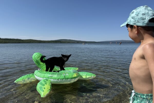 IMG_0684_Borgosen2. Foto Monica Rotan Røkke